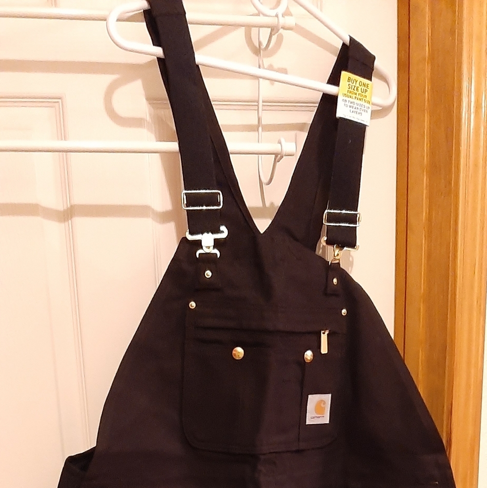 Carhart insulated bibs